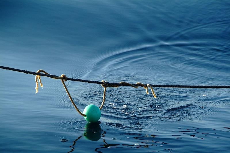 Fileyeur St Jean de Luz ad8.JPG